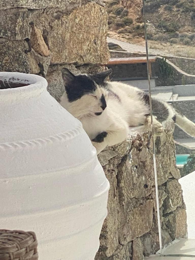 Cavo Blue Villas Elia  Kültér fotó